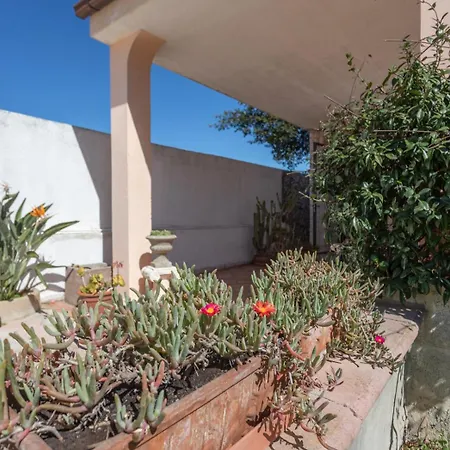 Antonella Intera Галліполі